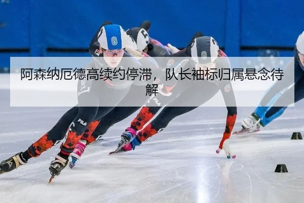 a-sen-na-e-de-gao-xu-yue-ting-zhi-dui-zhang-xiu-biao-gui-shu-xuan-nian-dai-jie-2-436.jpg